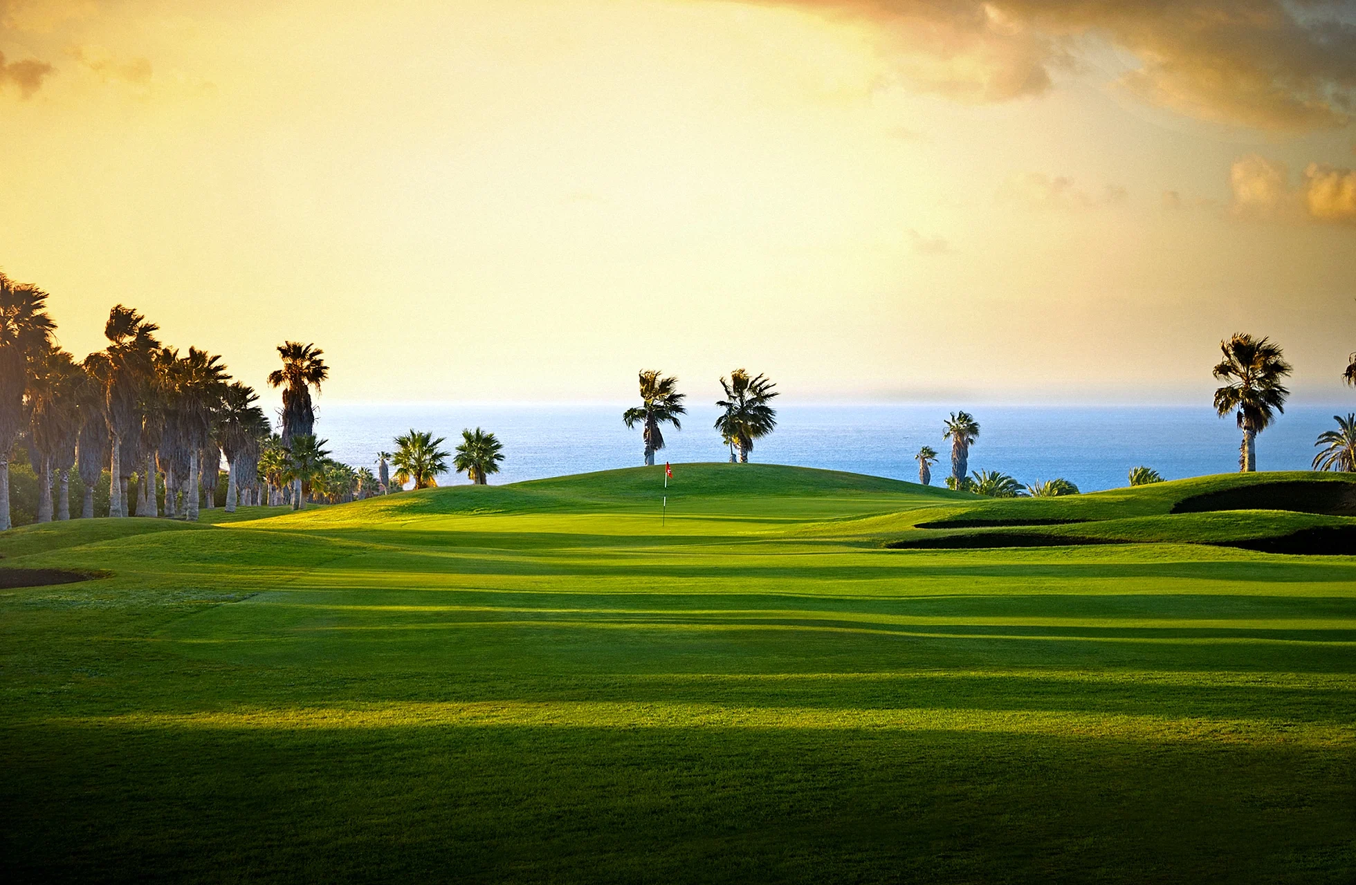 bølgende golfbane med fairway og green i åpent landskap. palmer langs banen og havet synlig ved horisonten i varmt kveldslys under lett skyet himmel.