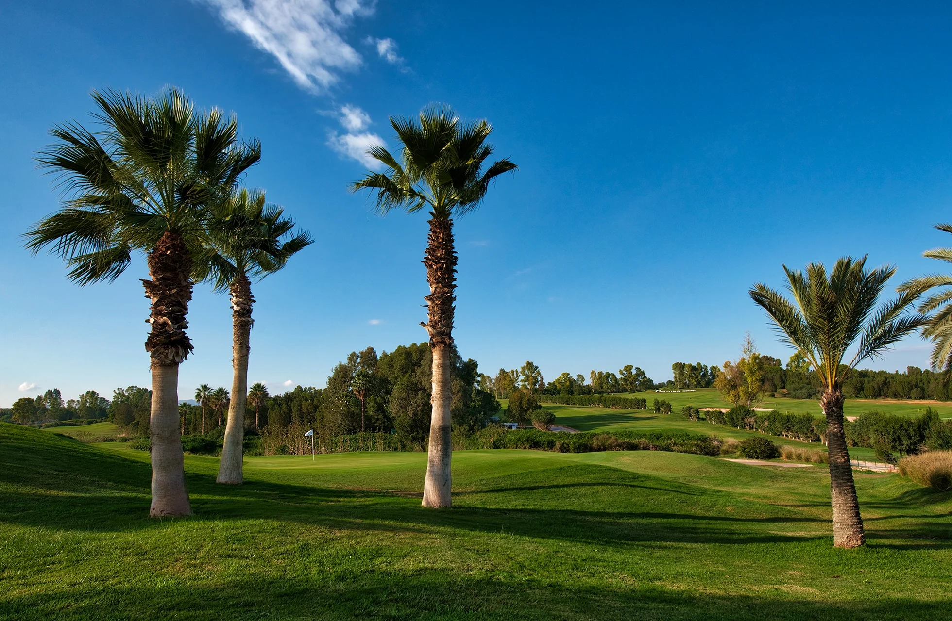 fairwayer på citrus golf les oliviers med palmetrær, bølgende gressflater og åpent landskap i sollys