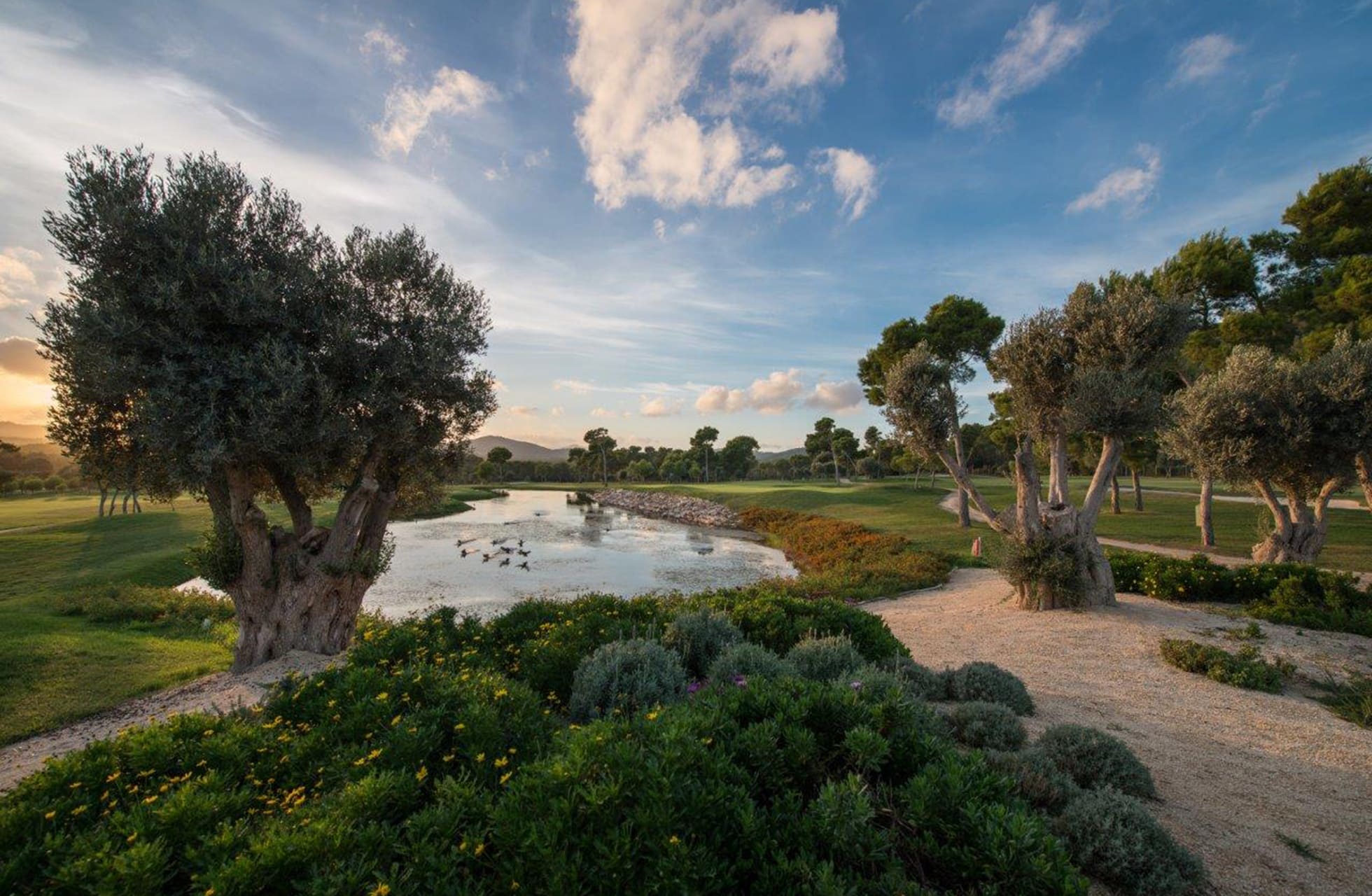 golfbane på son servera golf med stille vannhinder, svingende gangsti og oliventrær i parklandskap i mykt dagslys