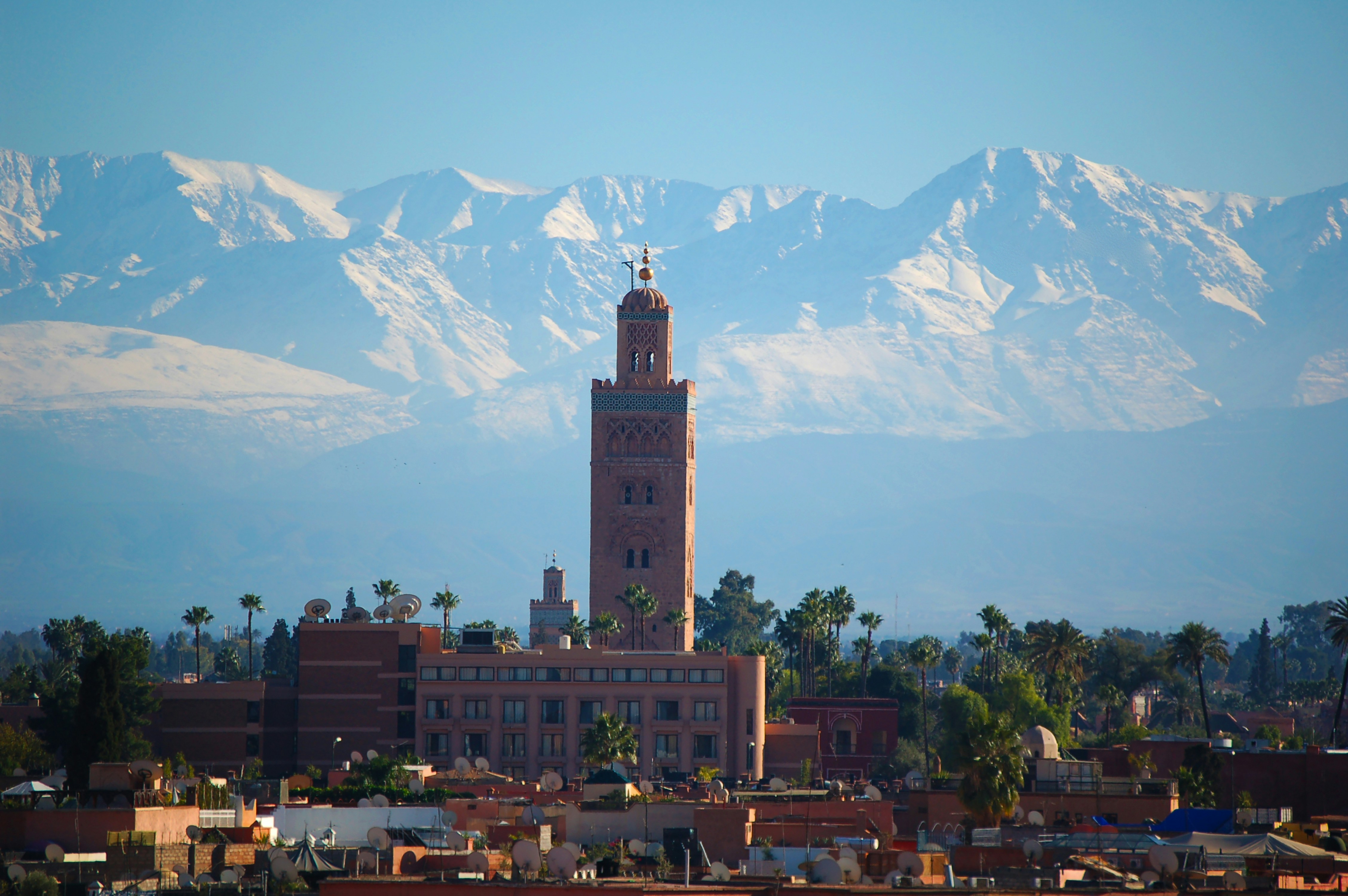 Koutoubia‑moskeens minaret i Marrakech med palmer i forgrunnen og snødekte Atlasfjellene i bakgrunnen.
