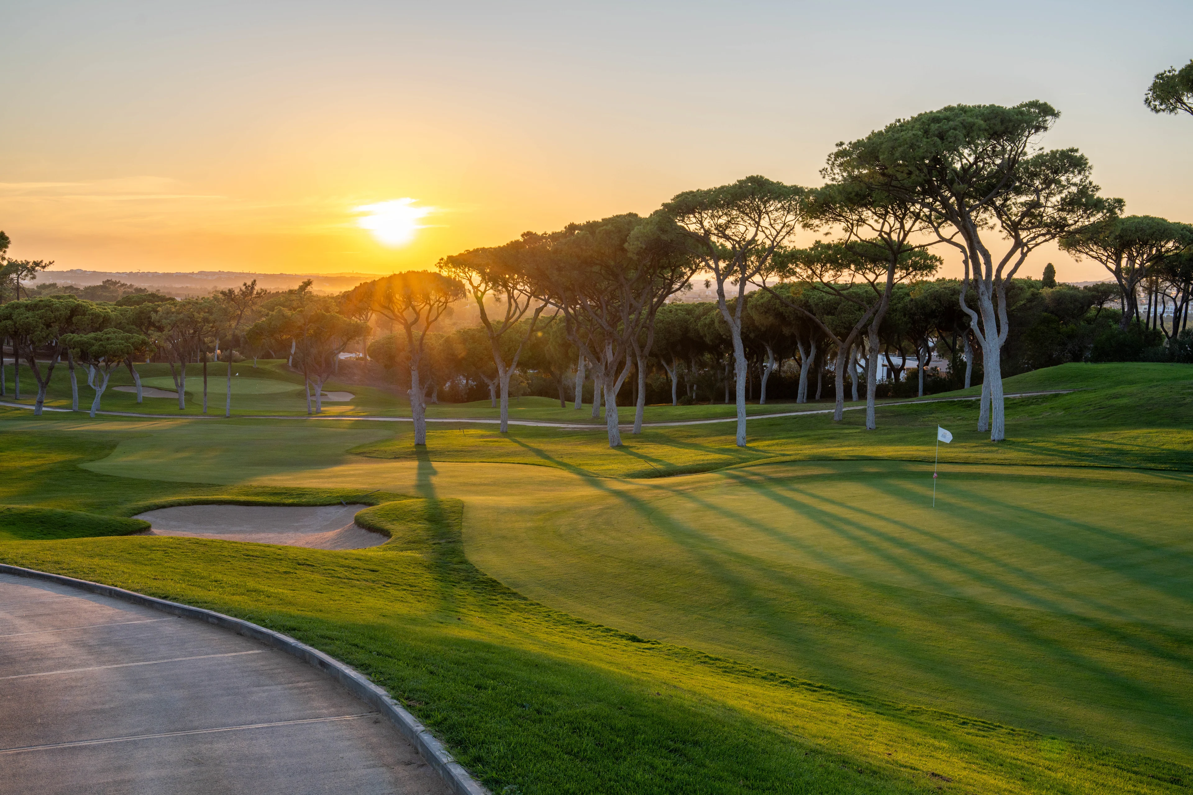 golfviheriö ja bunkkeri mäntyjen keskellä ilta-auringon valossa