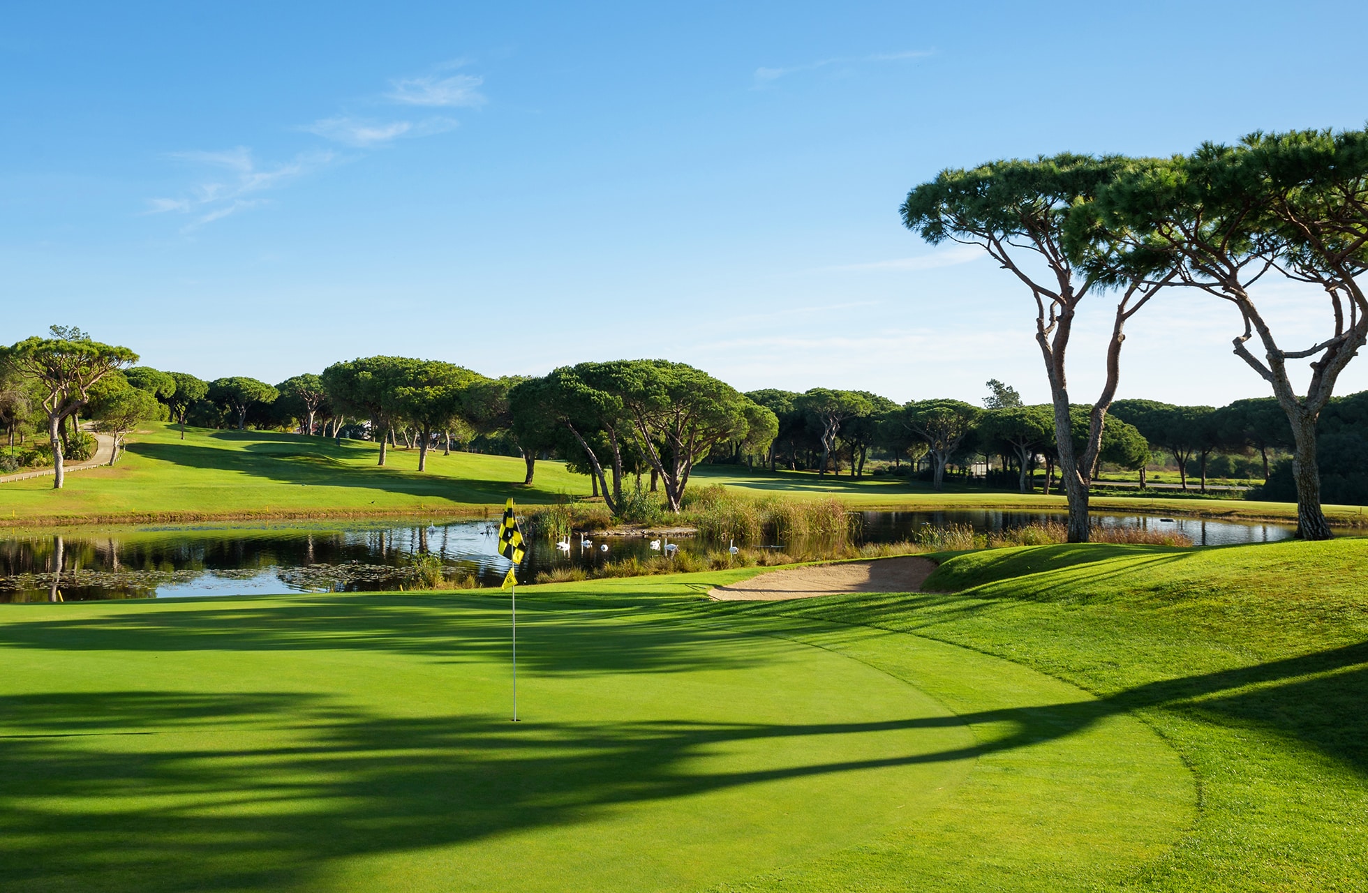 green med flagg ved vannhinder, omgitt av velstelte fairwayer og pinjetrær på pestana golfbane.