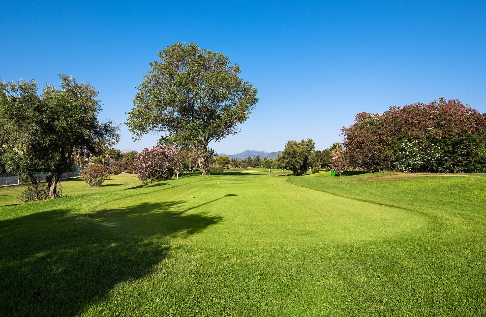 bred og velklipt fairway omgitt av gressbakker og trær, med green lenger fremme og åpent landskap under klar blå himmel i dagslys