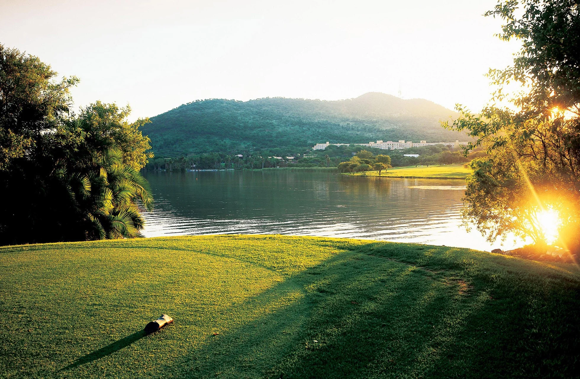 Sun City Golf