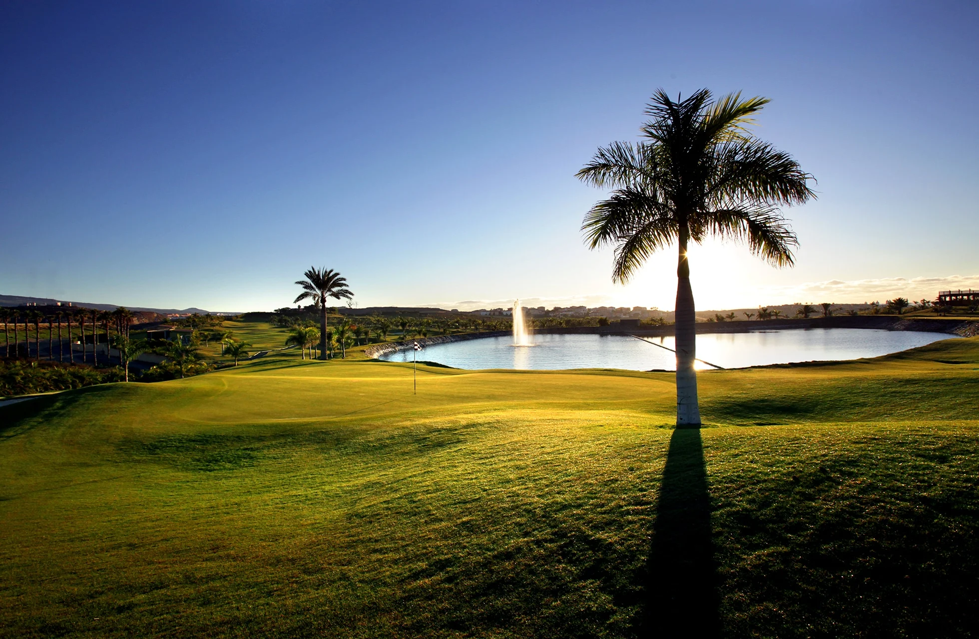 golfgreen på meloneras golf med mykt formede gressflater, vannhinder med fontene og palme med lange skygger i åpent kystlandskap i dagslys
