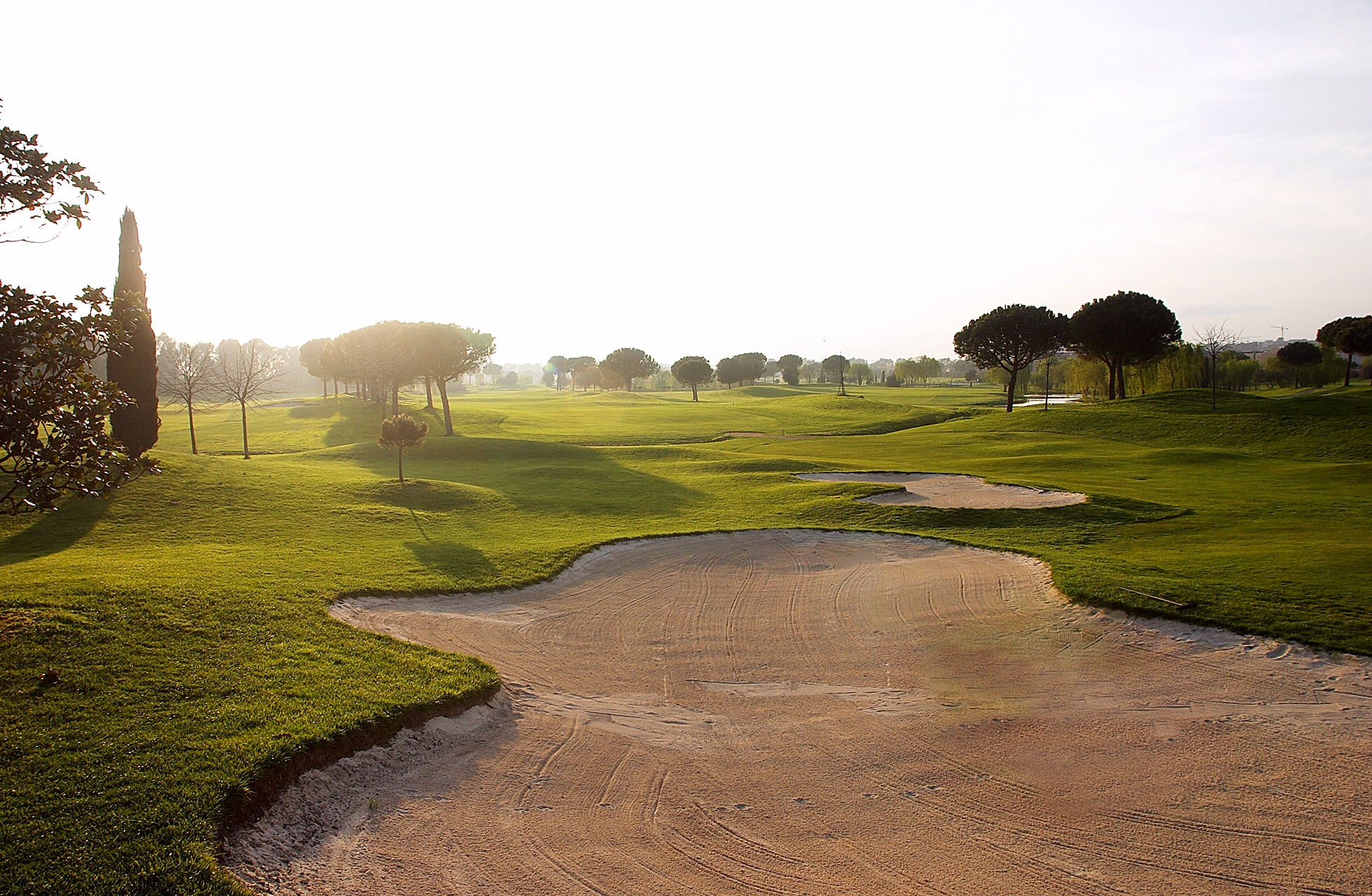 sandbunker i forgrunnen med bølgende fairwayer og trær på parco de’ medici golf club