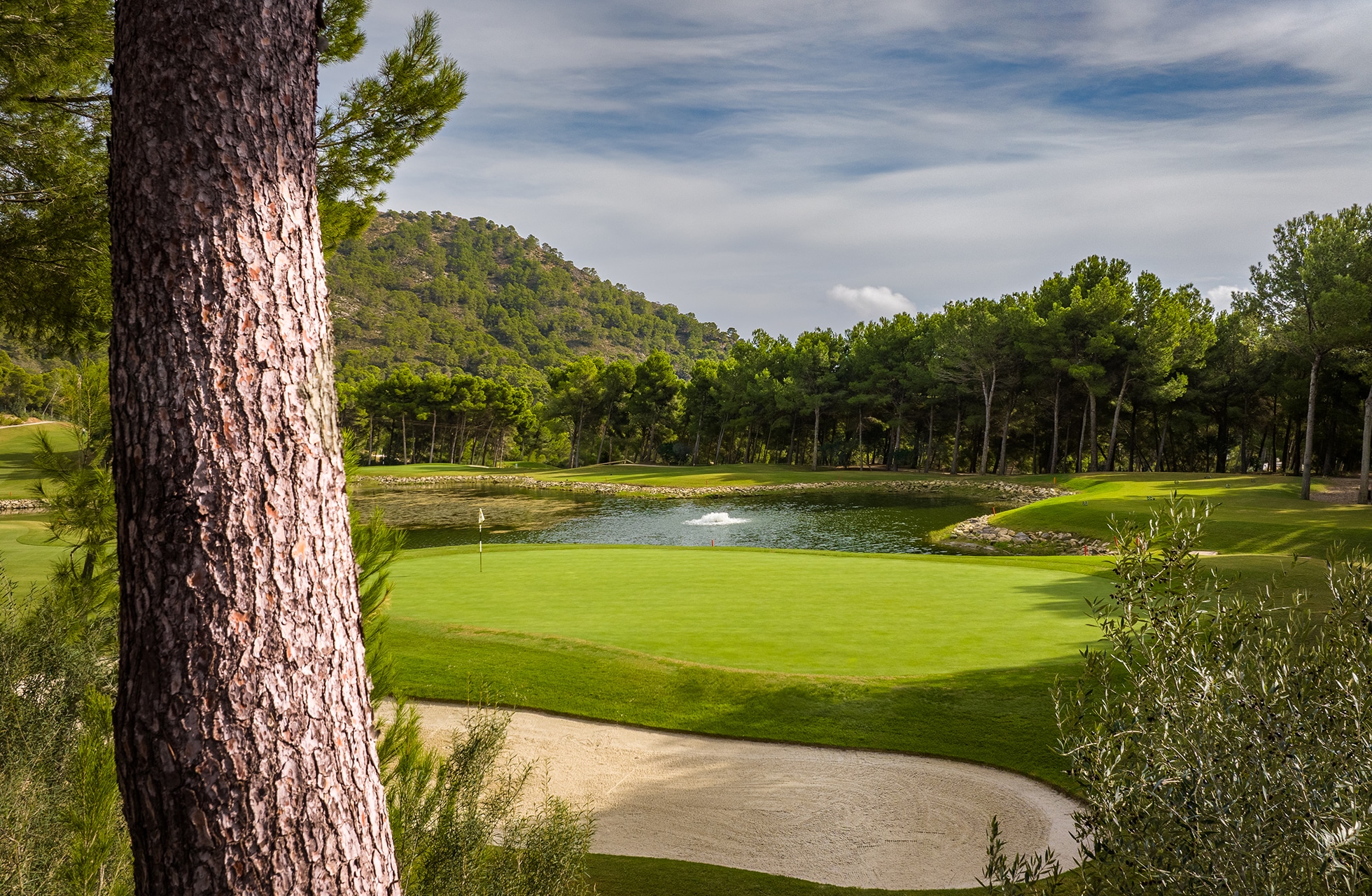 golfgreen på son servera golf med bunker i forgrunnen og vannhinder bak greenen, omgitt av trær i parklandskap i dagslys