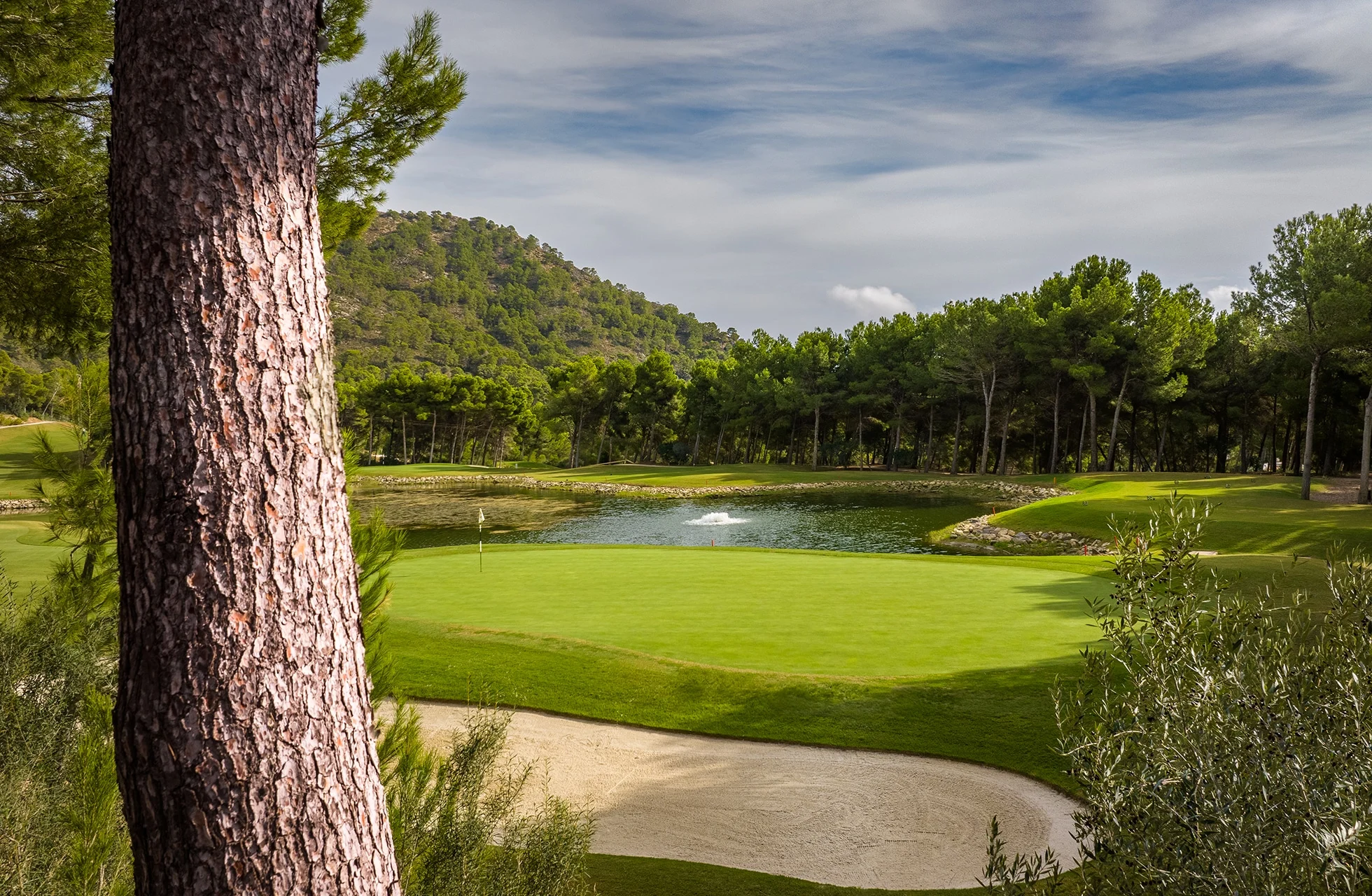 golfgreen på son servera golf med bunker i forgrunnen og vannhinder bak greenen, omgitt av trær i parklandskap i dagslys