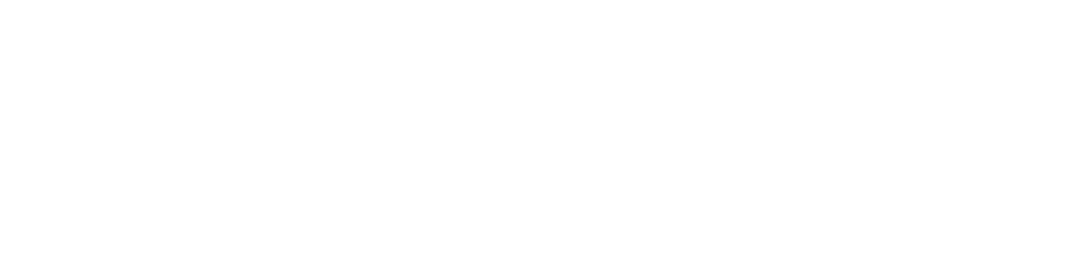 Dolphin Eon Logo