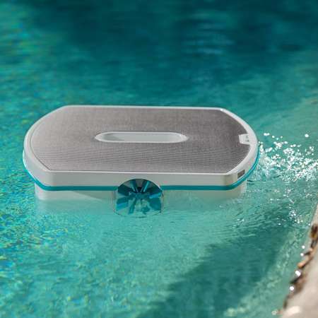 skimmi side view in the water