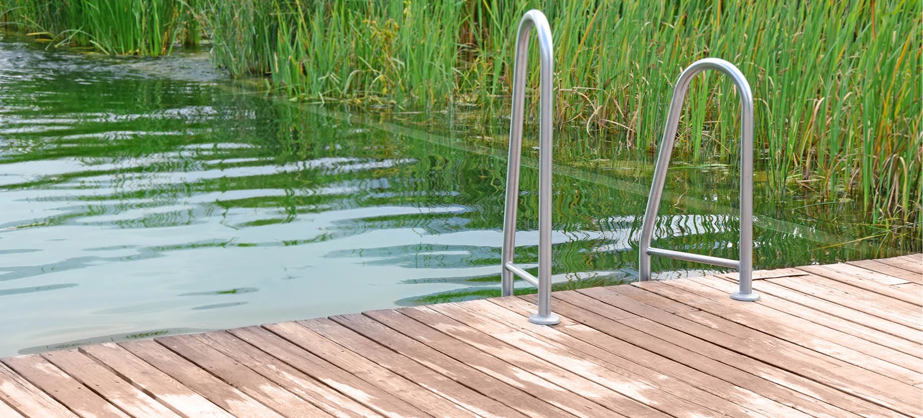 natural pool eco-friendly and sustainable alternative