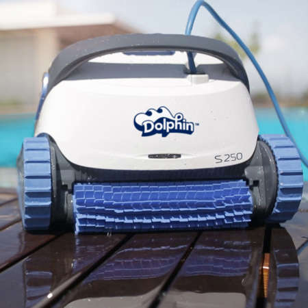 Dolphin S250 poolside 