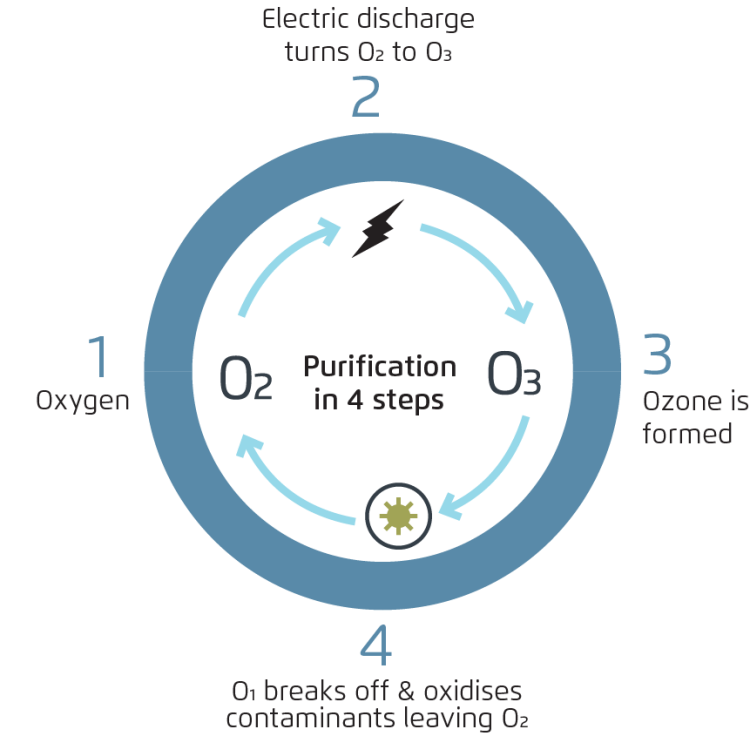 A graphic representation of the four steps involved in a mineral pool system with ozone purification, including filtration, mineralization, oxidation, and sanitation.