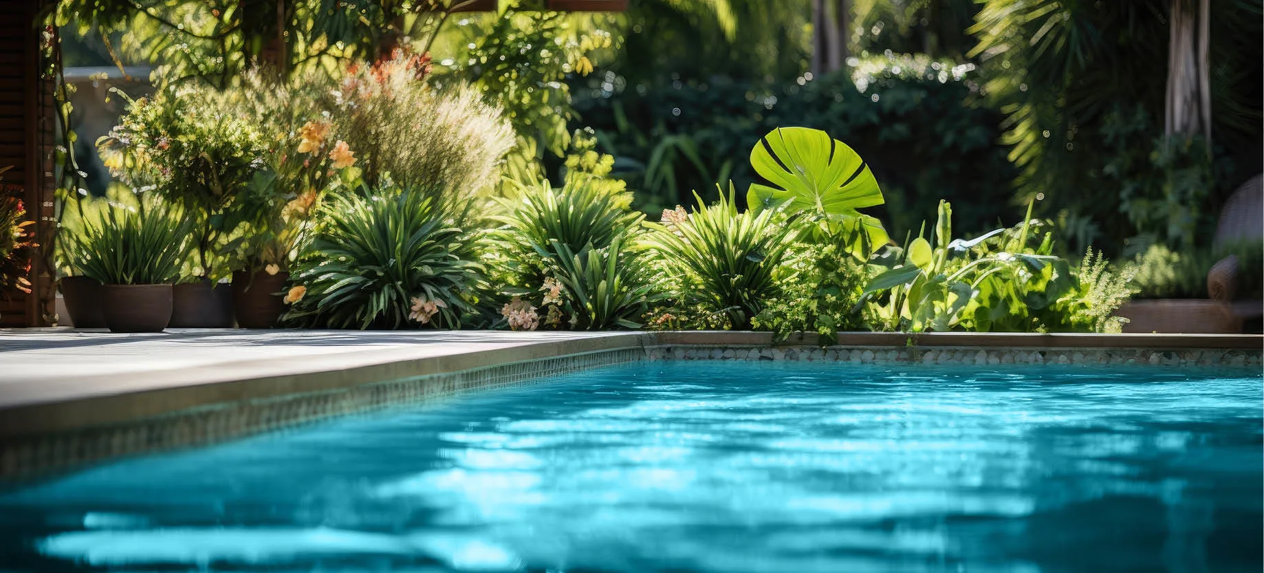 choose non invasive plants around the pool