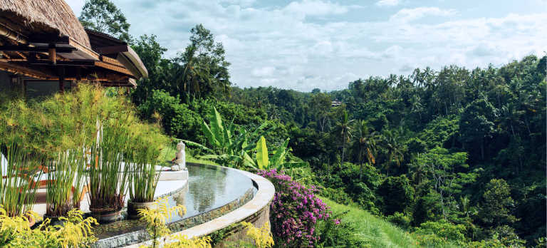 Natural Pools Embracing the Wonders of Nature