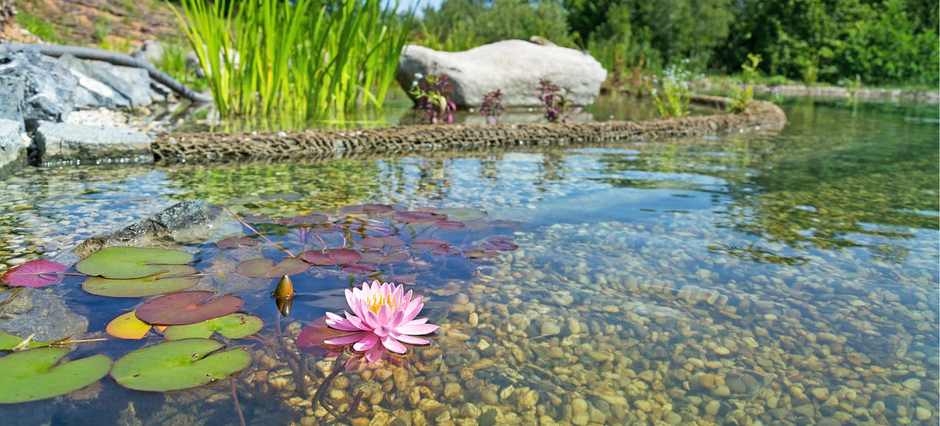 Swimming ponds are concrete-free