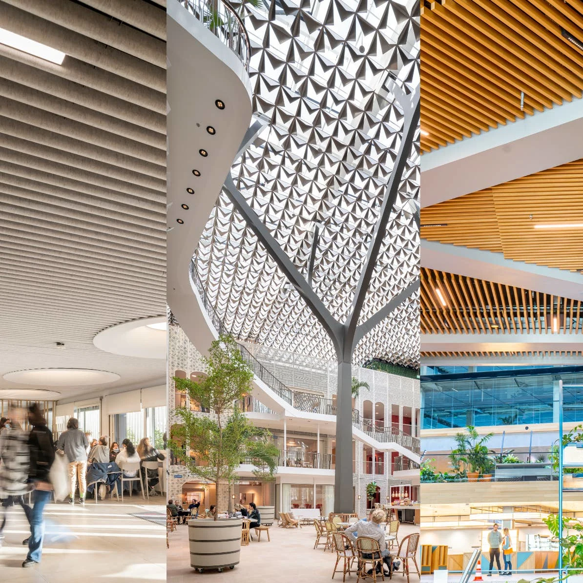 Hunter Douglas Architectural Hero