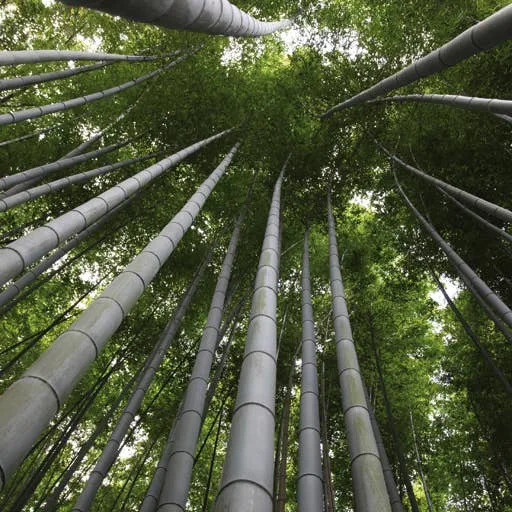 MOSO Bamboo Hero