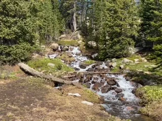 Lower Diamond Lake - Creek