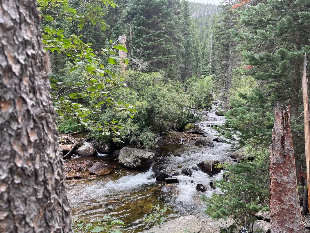 Middle St Vrain - Creek 2