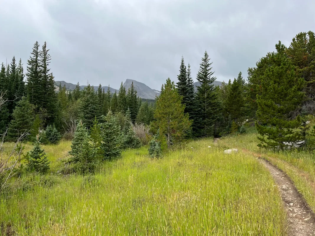 Middle St Vrain - Trail