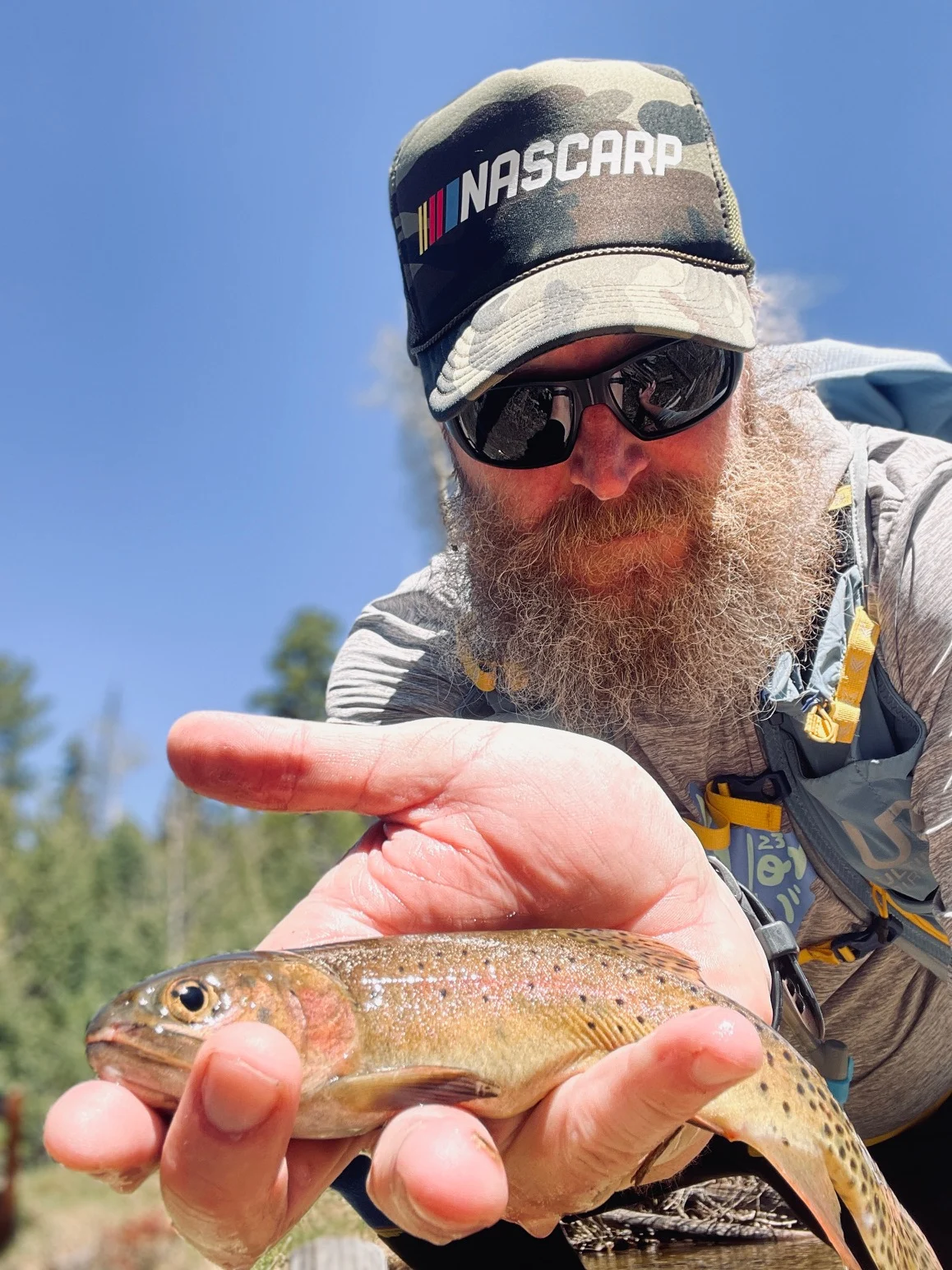 IMG 1842 - Andrew Todd