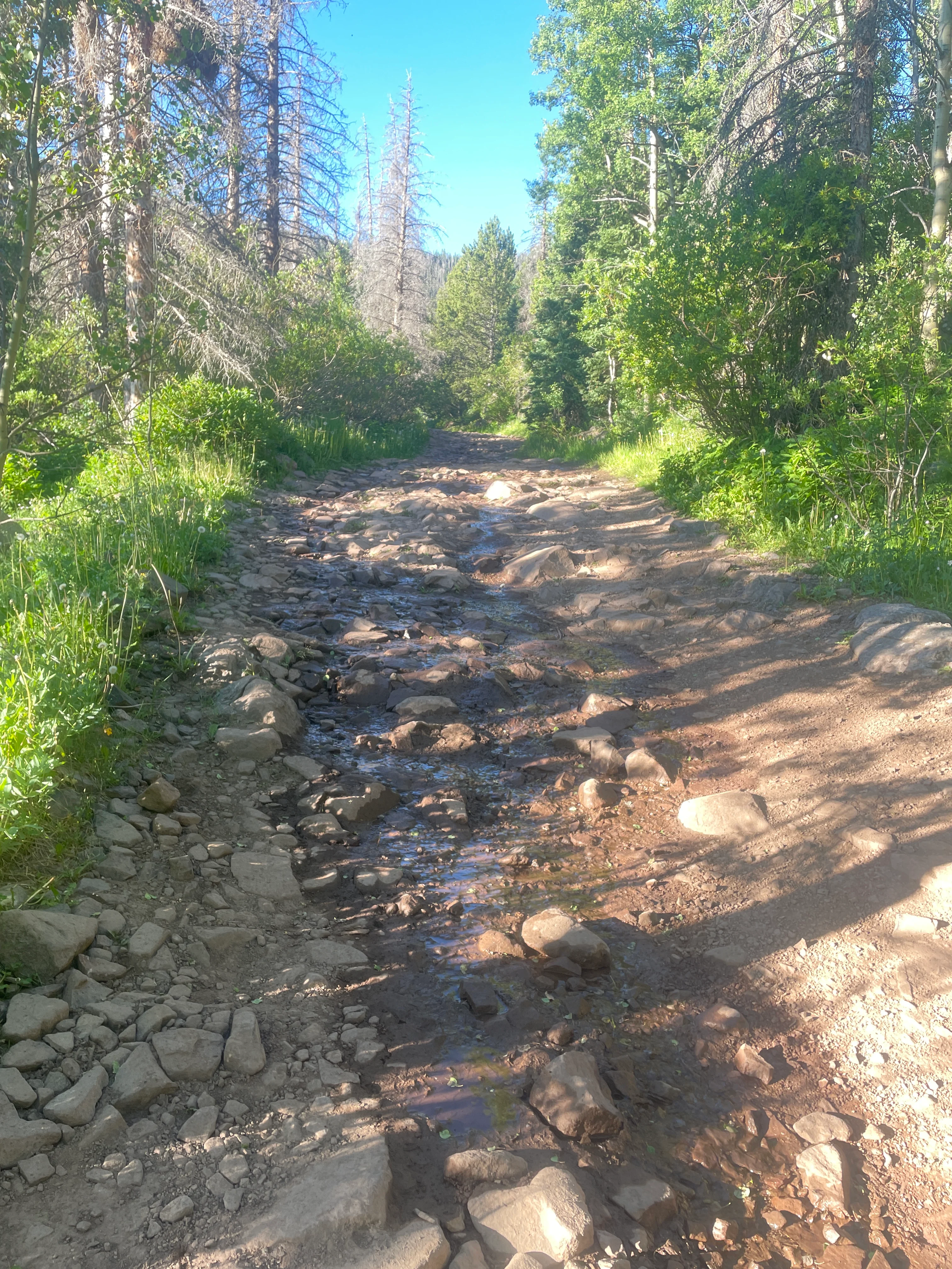 2-AT-FKF-071423-Hermit Pass Climb