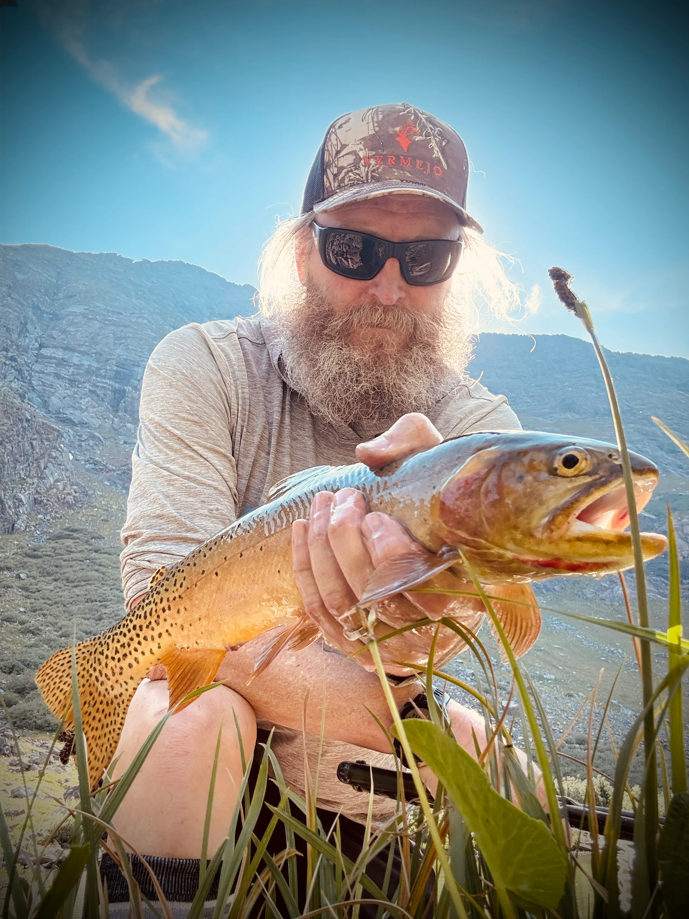 Lower Horn Lake cutthroat
