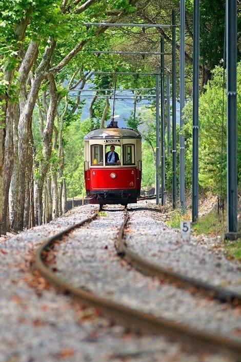 Sintra’s historic tram