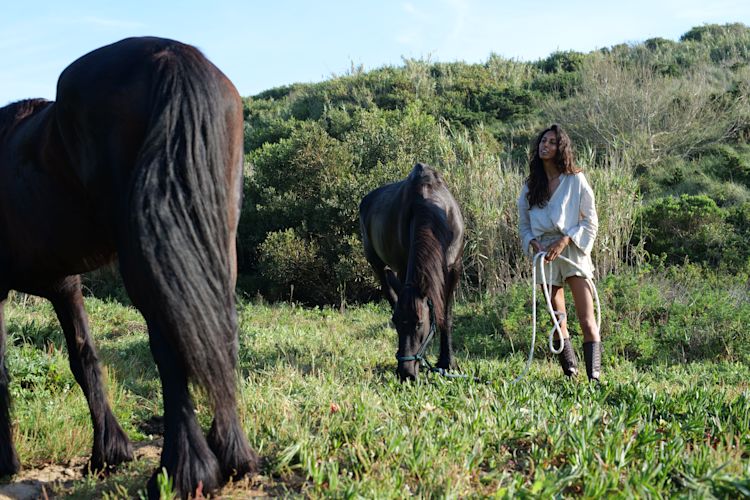 Coastal Walk with Horses