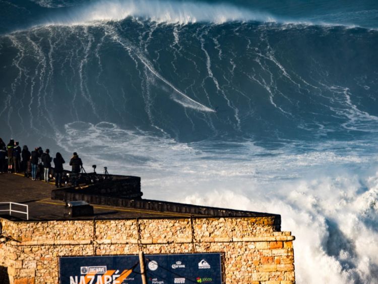 Steudtner-Nazare