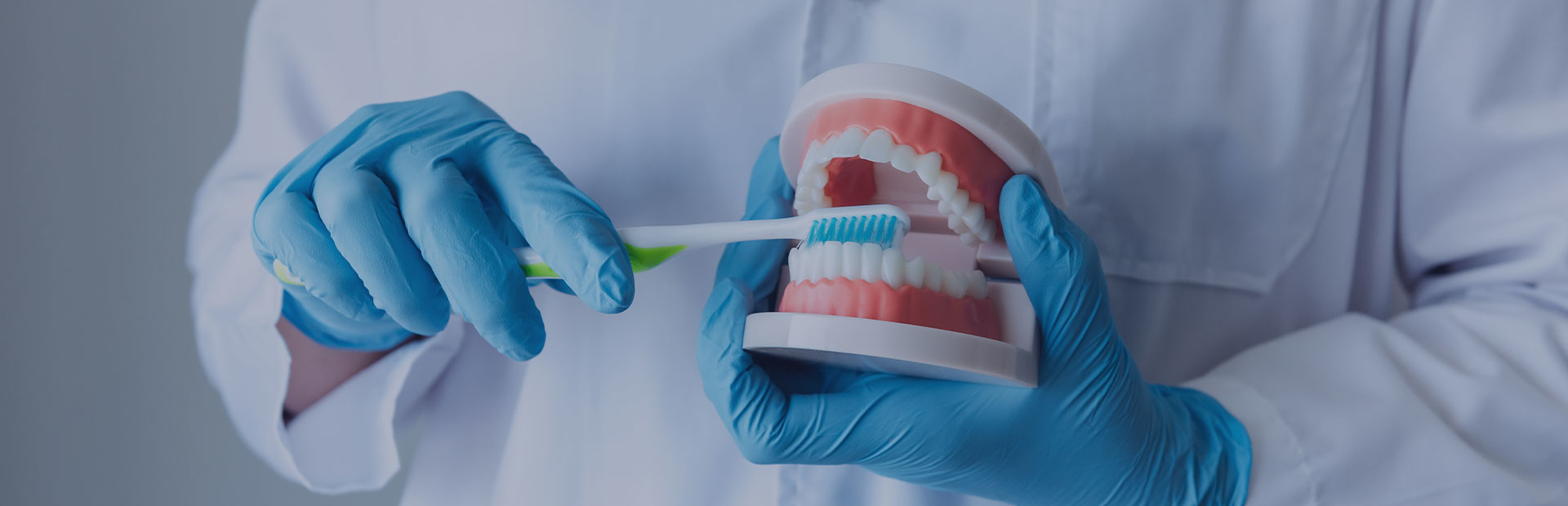 A close up of a set of dentures being held by a dental technician, demonstrating how to brush dentures before instructing on how to use Fixodent denture adhesive. 