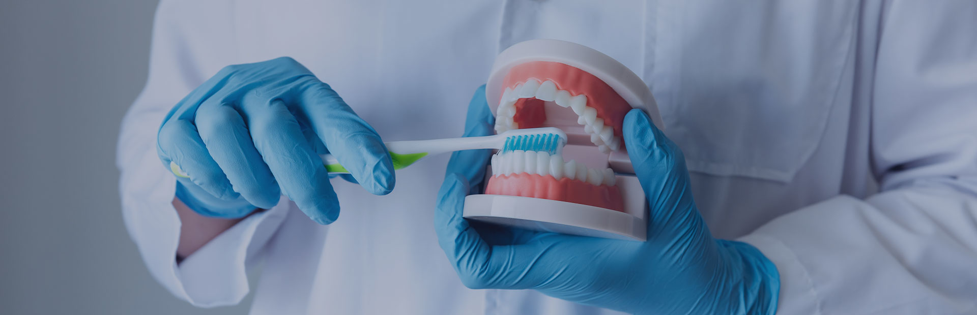 A close up of a set of dentures being held by a dental technician, demonstrating how to brush dentures before instructing on how to use Fixodent denture adhesive.