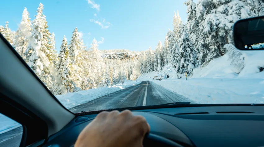 A view of a snowy road lined with trees from inside the car.