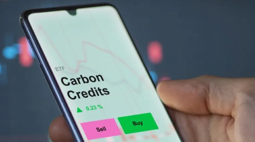 Someone holding a mobile phone showcasing carbon credits information.