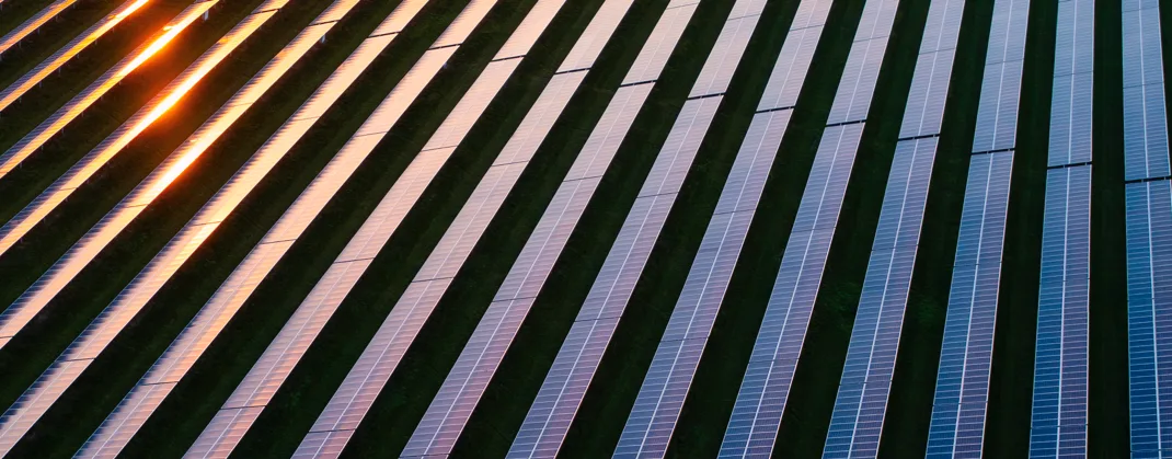 Multiple rows of solar panel with sunlight reflecting on half of them. 