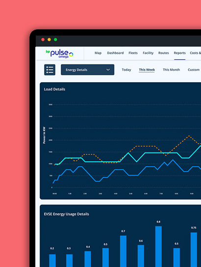 A snapshot of the charge management software, specifically the reports tab, displaying graphs showing load details and energy usage.