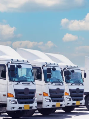 The front of three white trucks parked adjacently under a bright blue sky with white clouds.