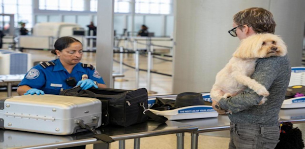 Traveling with Pets and Service Animals