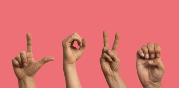 American Sign Language Interpretation