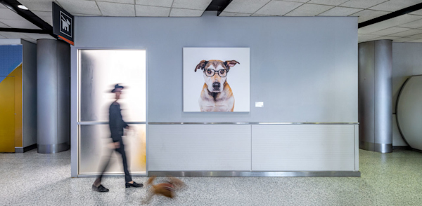 Traveling with Pets and Service Animals