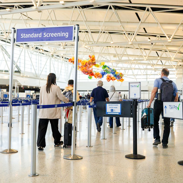 Flight Status & Wait Times