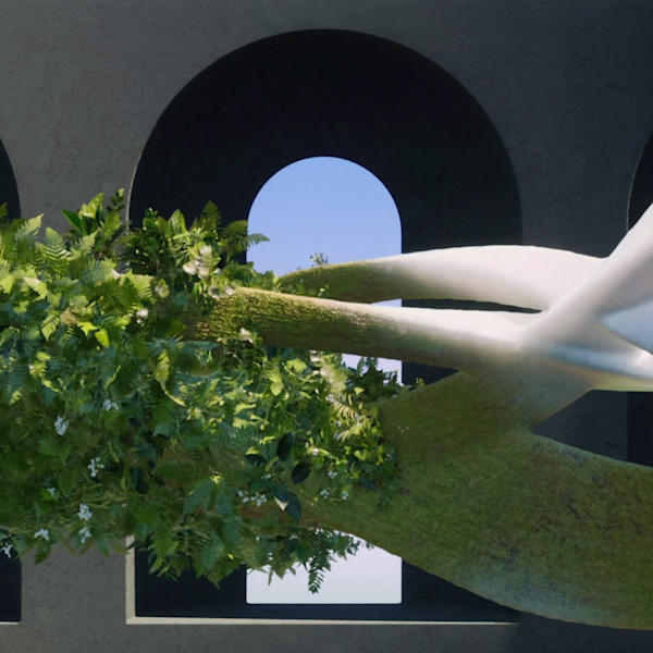 Houston Roots Run Deep