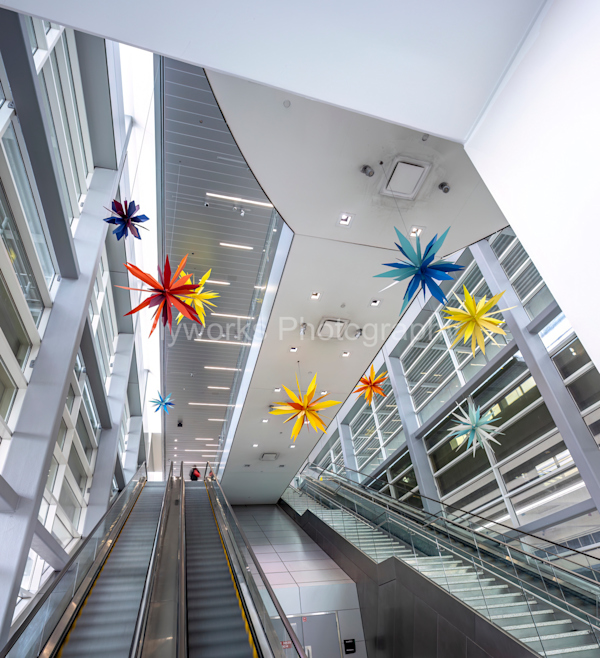 Airport Visitor Information