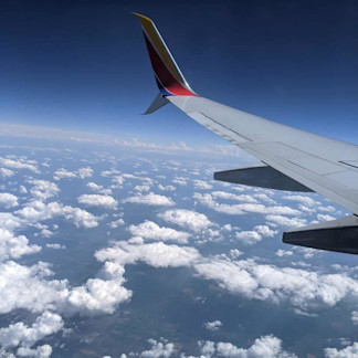 Winging it