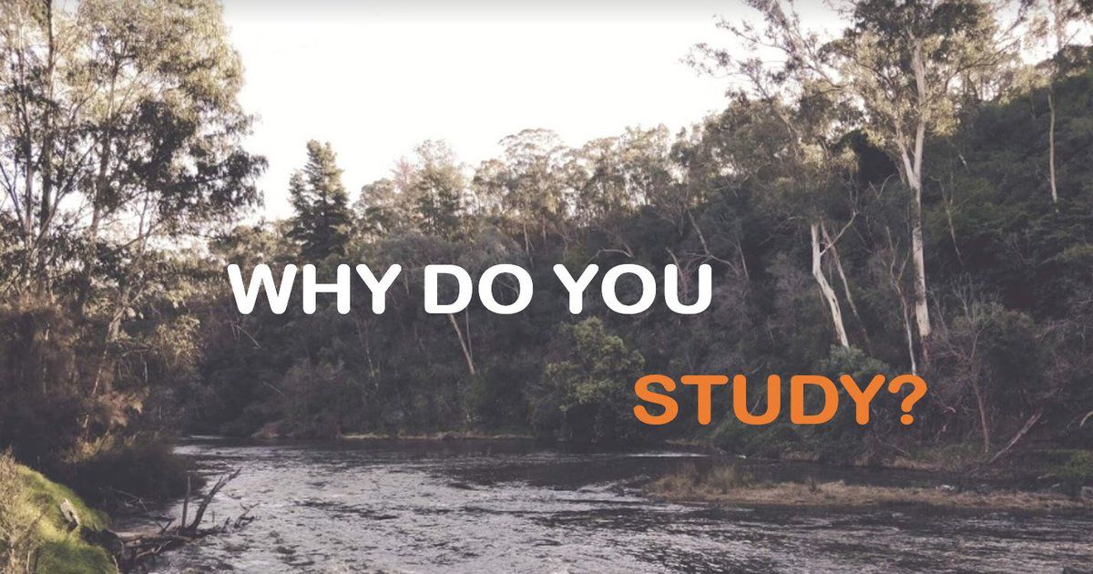 Why Do You Study?