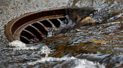 Prevent Sewer Backflow with These Effective Solutions