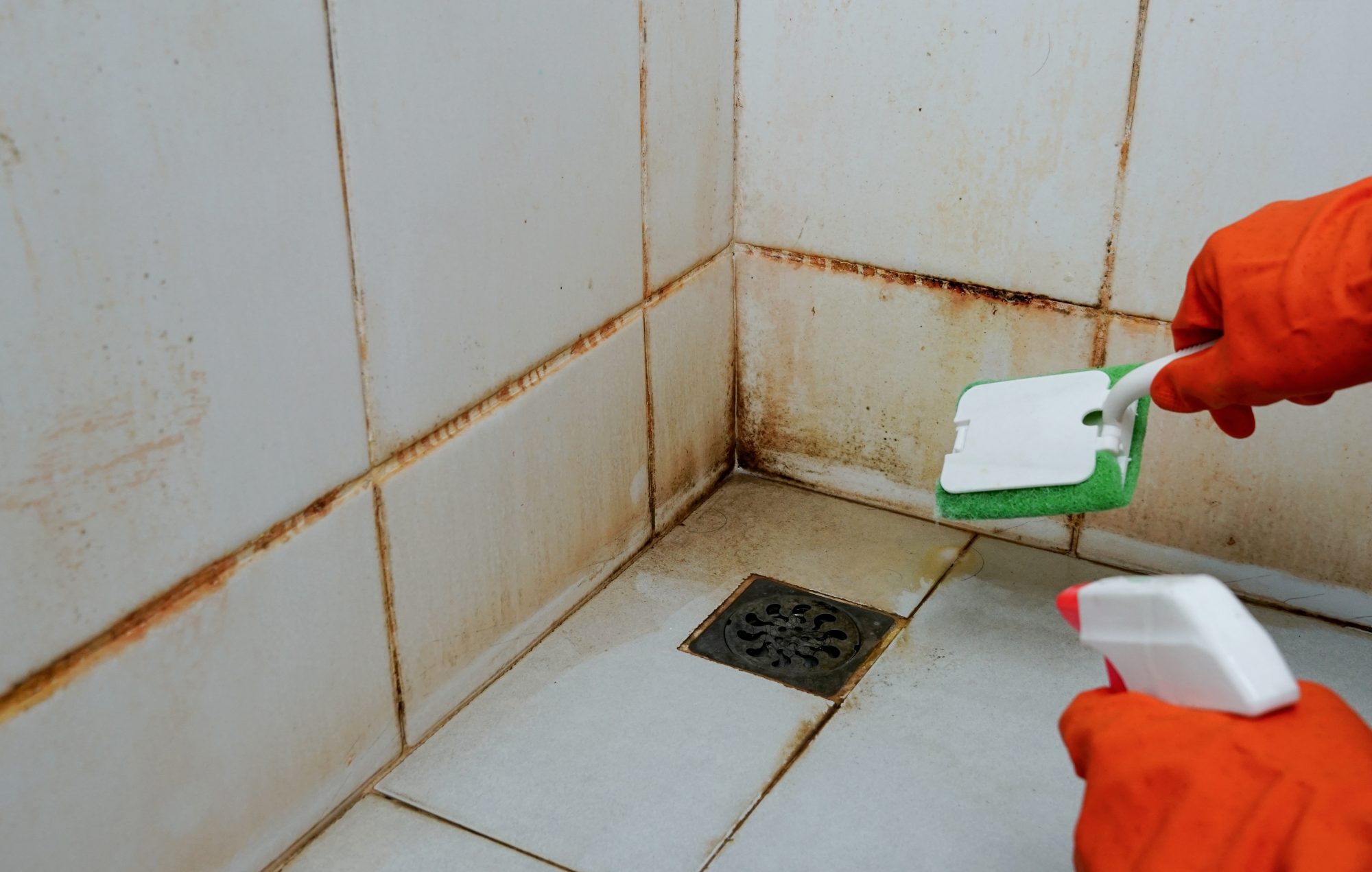Effective Ways to Eliminate Black Mold in Shower