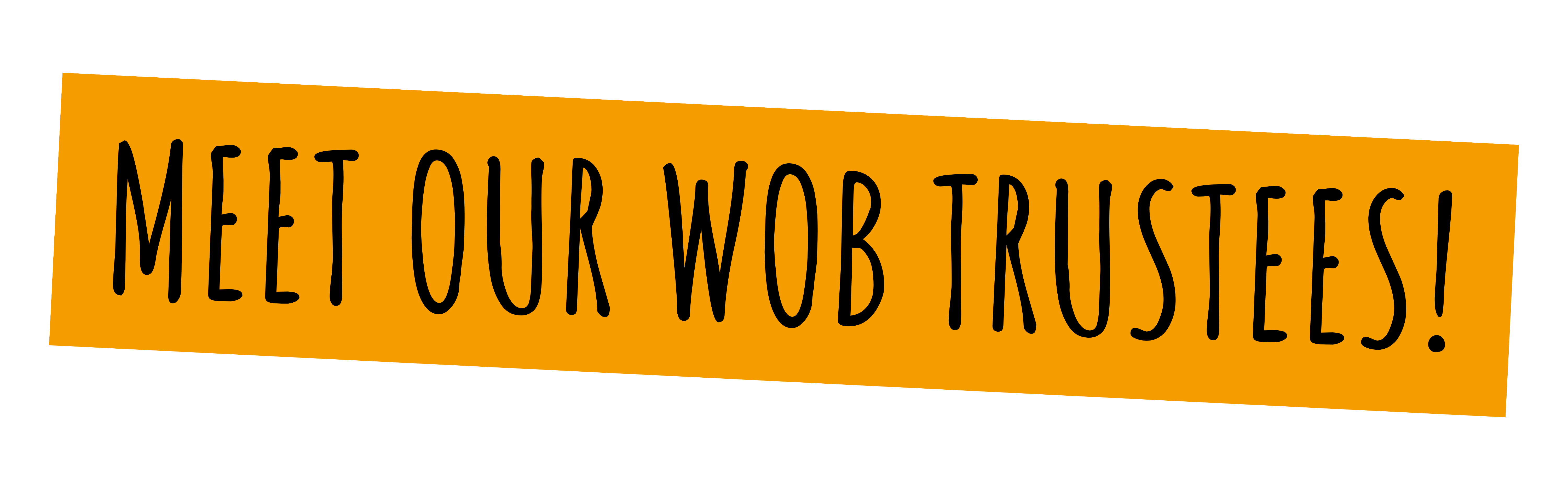 Meet our Wob Trustees
