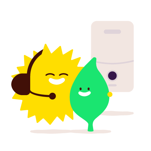 Boiler help and support.